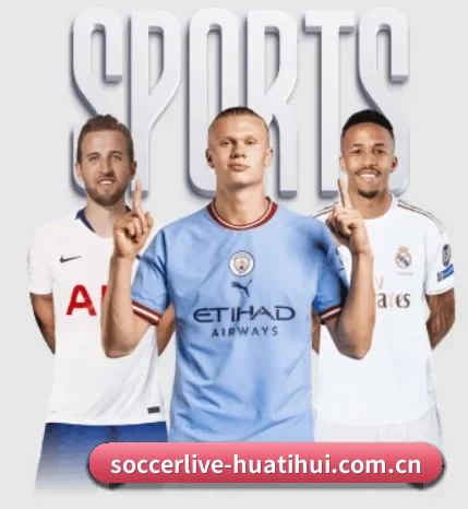 本站五个常用功能入口,赛程查询路径更短 - 多运动项目内容板块 - HTH Sports
