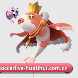 华体会体育足球直播 APP
