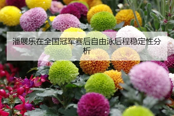 潘展乐在全国冠军赛后自由泳后程稳定性分析