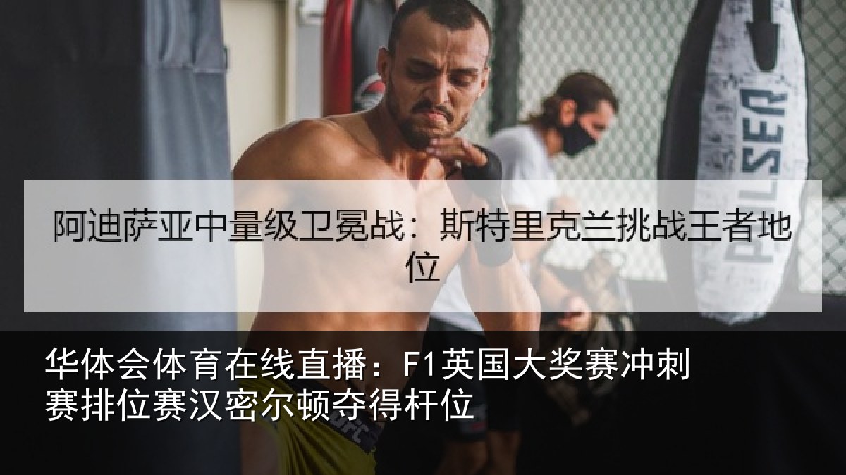 华体会体育在线直播：F1英国相关情况赛汉密尔顿夺得杆位